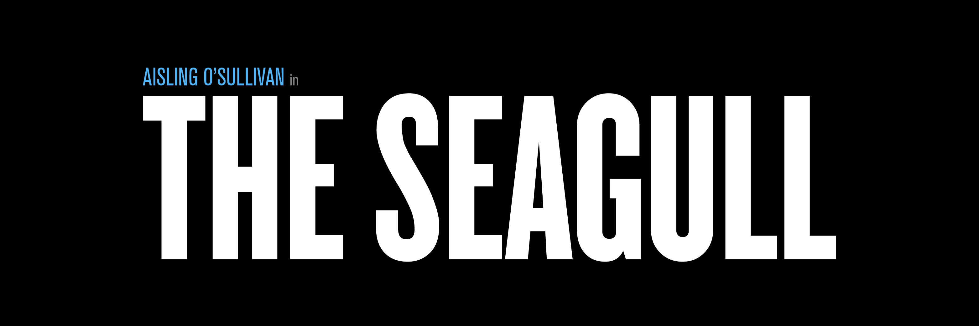 The Seagull_Smock_Banner